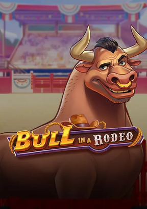 BULL IN A RODEO